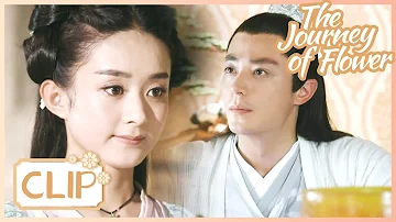 She sensed that the master attached too much importance to her😮The Journey of Flower |花千骨| Clip 13