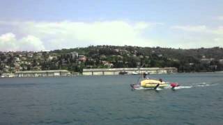wFoil 18 Albatross