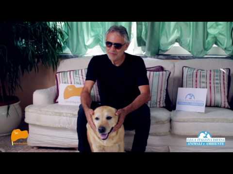 Carne di cane. On. Brambilla diffonde il video-appello di Bocelli