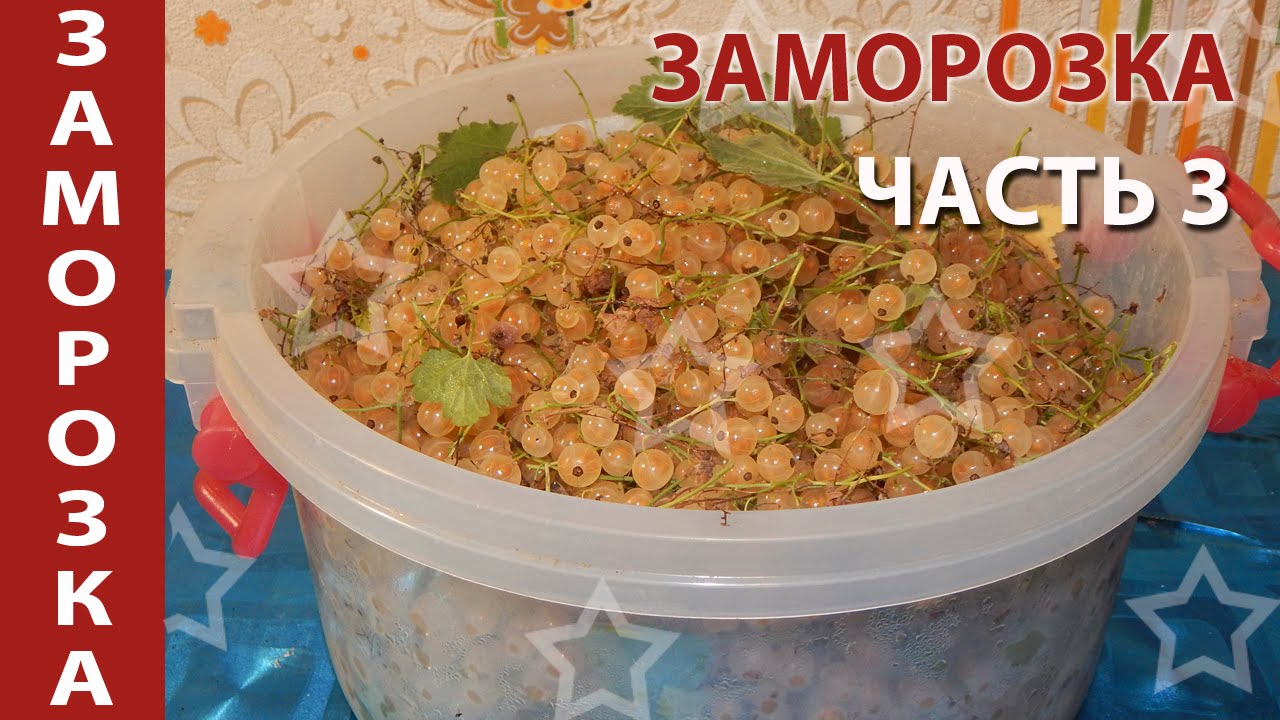 Заморозка часть 2