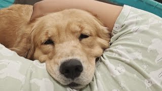 Maa jerokom kore chotkay 😪 @riotheranger 