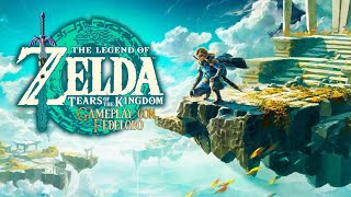 The Legend of Zelda Tears of the Kingdom I Gameplay con Fedelobo