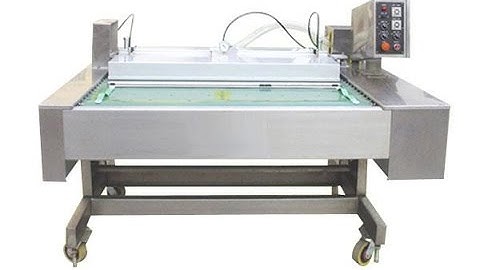 Continuous Vacuum Packager Machine Tabletop Vacuum Packing Equipment
