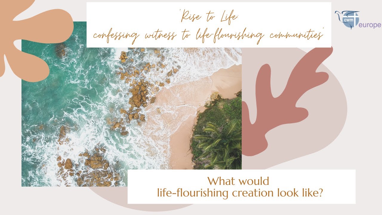 Life-Flourishing Creation - YouTube