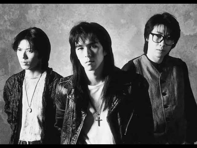 このまま君だけを奪い去りたいWANDS