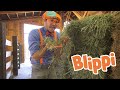 Farm Videos For Kids With Blippi | Educational Videos For Toddlers