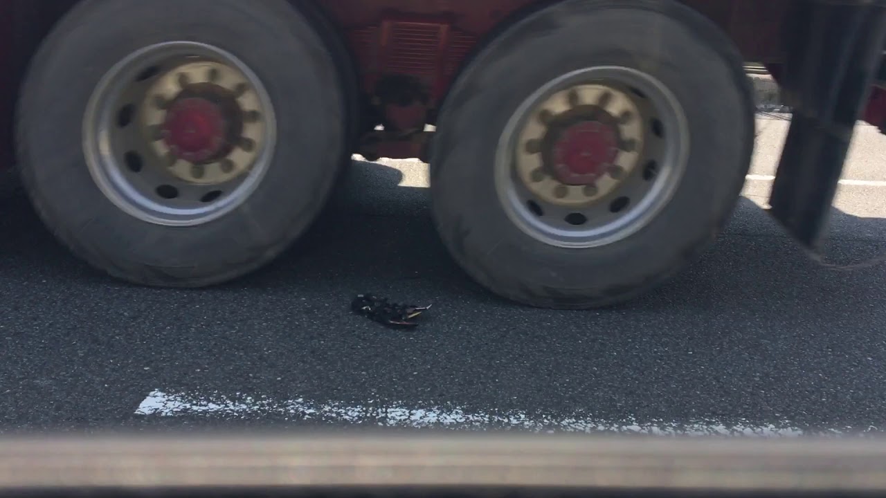 Net high heel pump destroyed