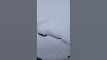 Thumbnail of Always notice the little things #music #song #dance #idontknowwhattoputhere #snow