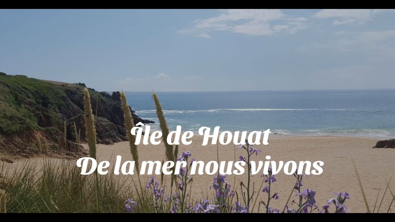 Webcam Houat