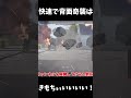 【War Thunder】速さが勝負のポイント!