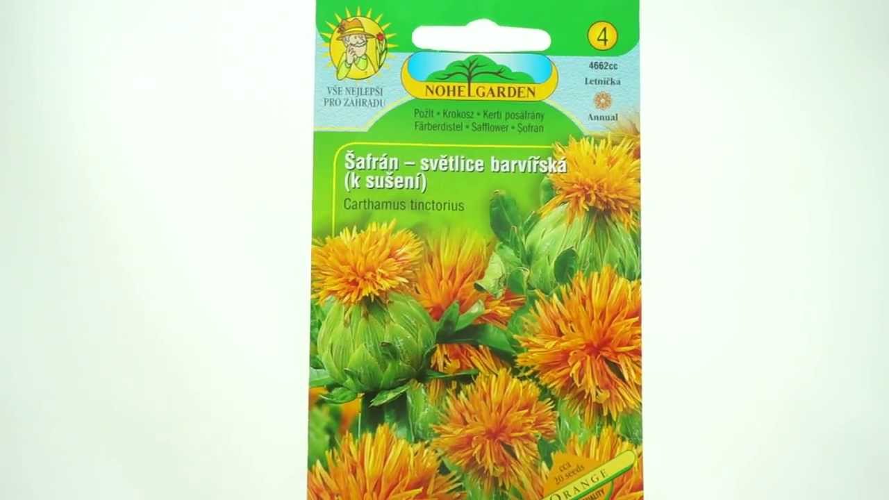 Šafrán světlice barvířská k sušení Orange
