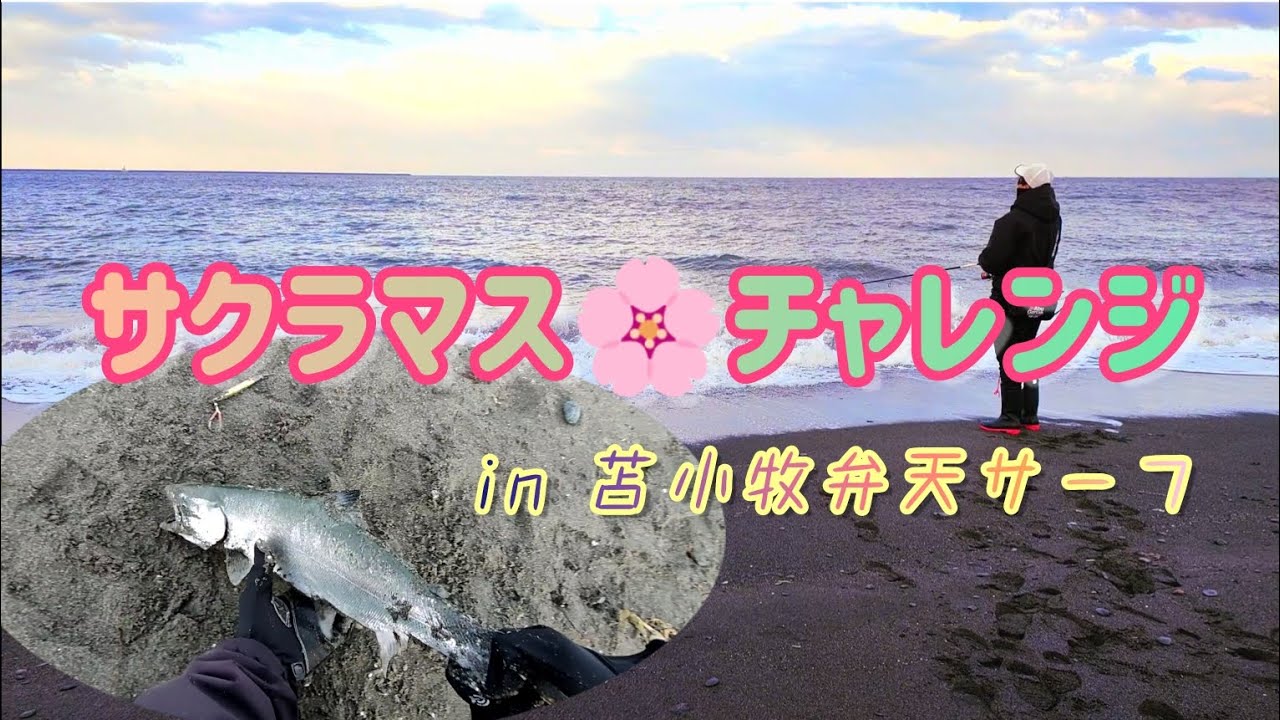 北海道 苫小牧弁天サーフでの海サクラマス釣り研究！ 