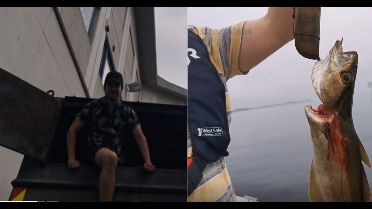 Summer Dumpster Dive In Norway!!