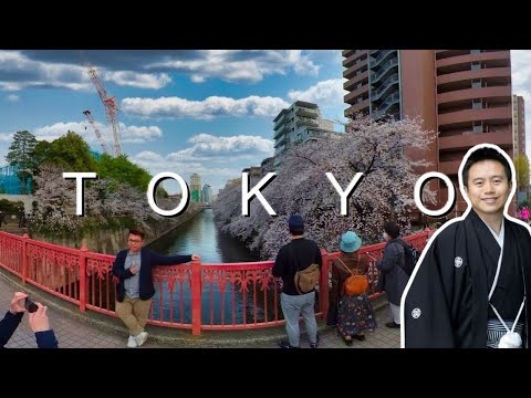 Tokyo's Best Cherry Blossom Spot Meguro River