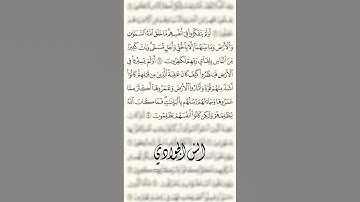 ايات من سورة الروم بصوت انس الجوادي