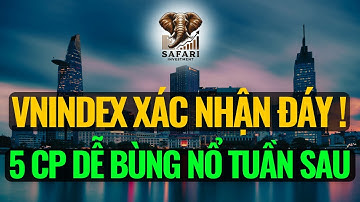 Vnindex xác nhận tạo đáy - 5 Cổ Phiếu Dễ Bùng Nổ Tuần Sau !