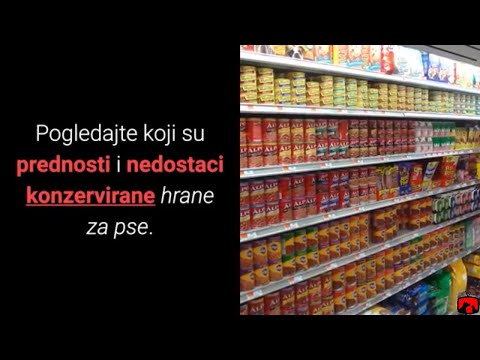 Video: Da li vatromet šteti psima?