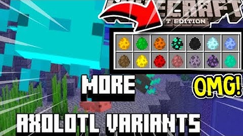 More Axolotl Variants ADDON in Minecraft Pocket Edition | MCPE | MCPE - BOY