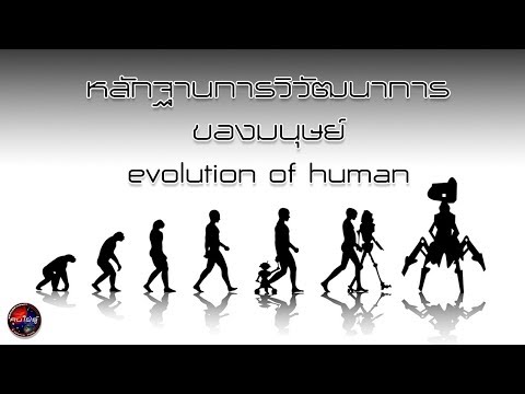6หลักฐานการวิวัฒนาการของมนุษย์ (ลักษณะที่หลงเหลือจากวิวัฒนาการ)