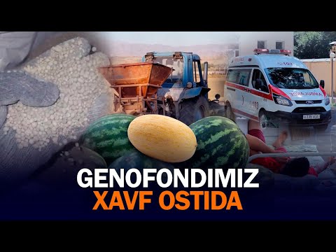 Video: Viburnumni qanday himoya qilish kerak?