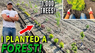 I Planted 1,000 Trees in 2 Days!! | Yard Geek Episode 2