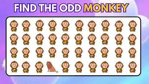 Guess It Before the Timer Ends! Animal Riddles #brainchallenge #funquiz #riddletime