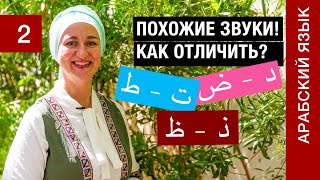 Урок 2. Буквы د - ض  Буквы ت - ط  Буквы ذ -  ظ  Как различать похожие звуки в арабском алфавите?