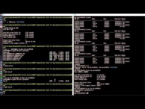 02807 Final Project - Running code on DTUs HPC server