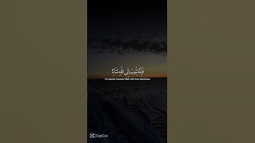 استمع ولا تهرب : القرآن الكريم 🤍