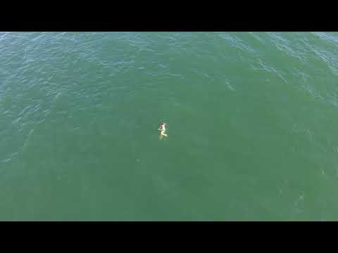 Police drone video showing the swimmer.