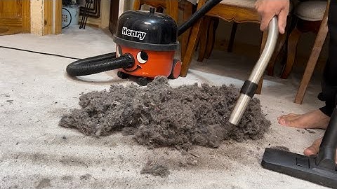 Fluff Haven - The latest modified Henry hoover