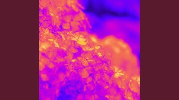 Tremendous Ambiance for Chilled Hideaways