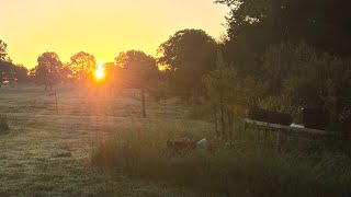 A Day in Our Life as FARMING SISTERS