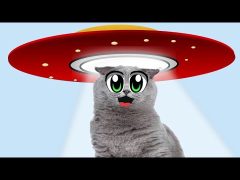 116-120 серия -
