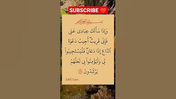 الأية 168 من سورة البقرة #القرأن_الكريم #تلاوة_رائعة #محمد_رسول_الله#سورة_البقرة#صلاح_بوخاطر