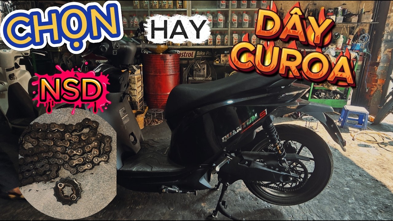 NÊN CHỌN NSD HAY DÂY CUROA CHO DATBIKE QUANTUM