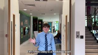 What Happens When You Visit Radiology For A Scan?