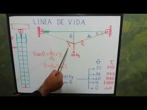 Video: Trayectoria De Vida Individual O 