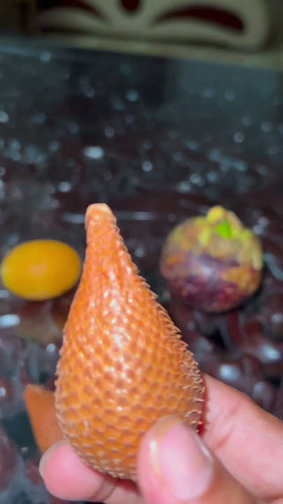 Fruit ( salak / mangoesting/ maprang )