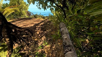 Stranded Deep Alpha Look