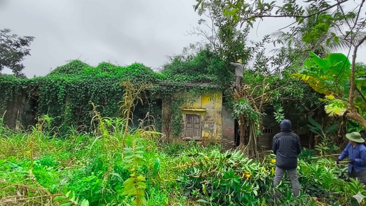 Reviving a house buried for 50 years and the surprising outcome - Free cleanup.