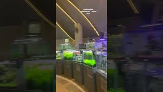 Banglore fish aquarium park cubbon park #cubbonpark #trending #fish #aquarium ium