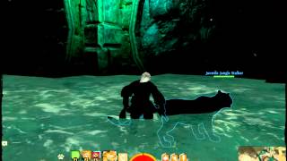 Guild Wars 2 The Bilge, Armorfish and the Order of Whispers