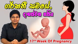 Pregnancy 17th Week | Sinhala Medical Review | අම්මයි බබයි