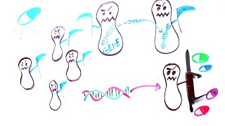 The Science-Policy Cycle: Managing the threat of antibiotic resistance