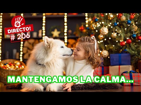 LA IMPORTANCIA DE LA RUTINA DURANTE LAS FIESTAS ⚠️ ► 🔴DIRECTO # 206