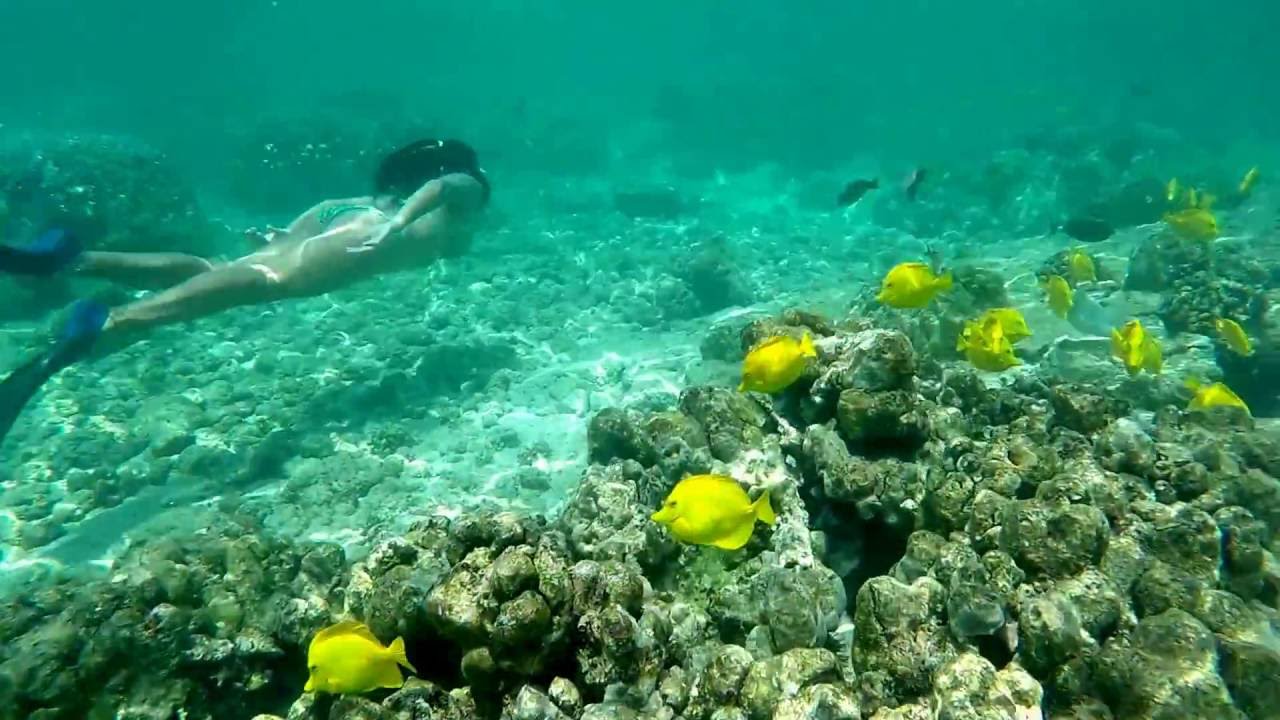 Exploring Kahaluu Beach