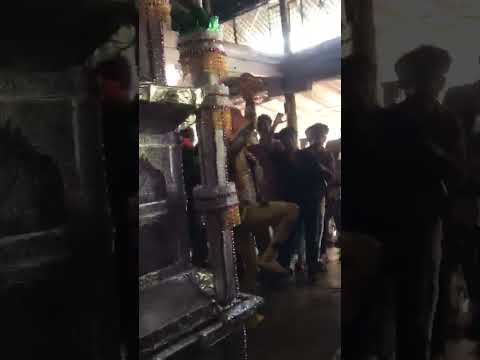 khandwa muharram Sher 🦁 2026 #youtubeshorts #khandwa #muhrram2026 #muhrram1444 #sher #subscribe