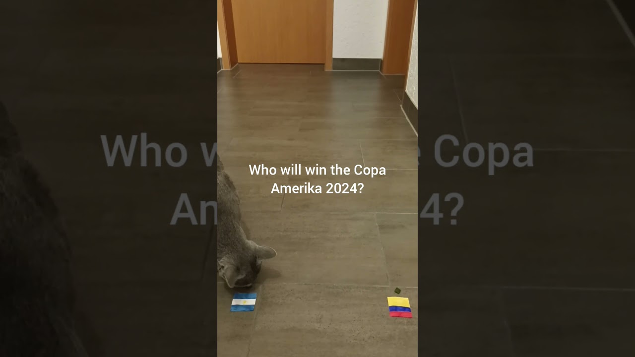 Who will win the Copa America? - Wer gewinnt die Copa Amerika? 