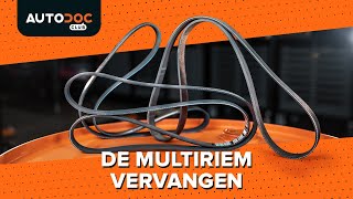 Multi-V-riem installeren : videohandleidingen